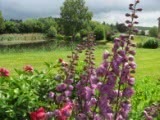 The Gardens of La Basse Cour B&B