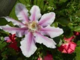 The Gardens of La Basse Cour B&B