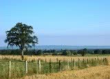 The Gardens of La Basse Cour B&B