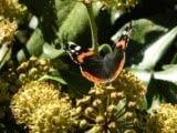 The Gardens of La Basse Cour B&B