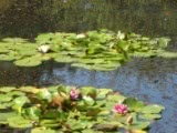 The Gardens of La Basse Cour B&B