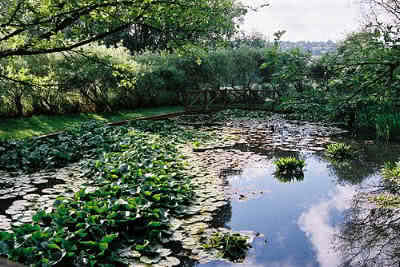 Normandie Jardins