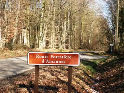Perseigne Forest